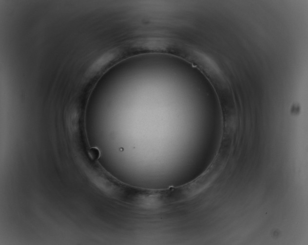 X0000101970120200807181115