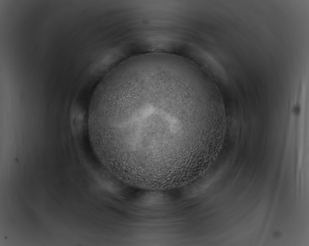 X0000101970123200807181114