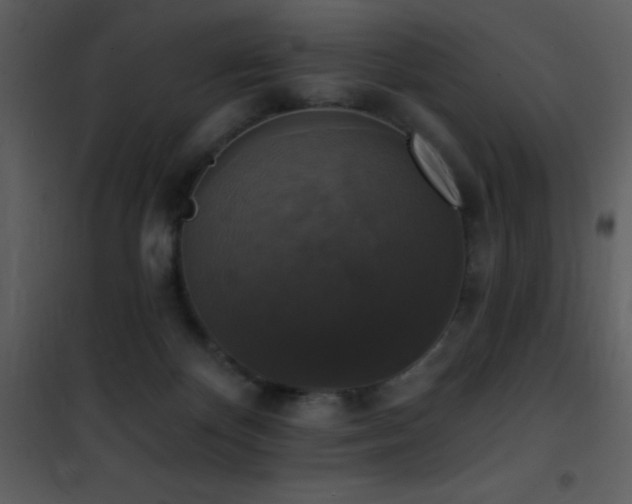 X0000101970124200807181114