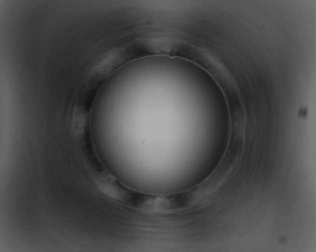 X0000101970125200807181114