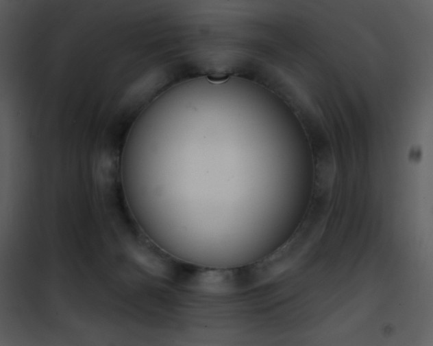 X0000101970126200807181114