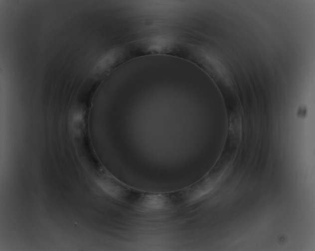 X0000101970127200807181114