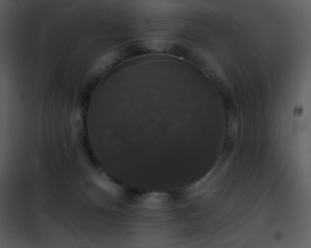 X0000101970128200807181114