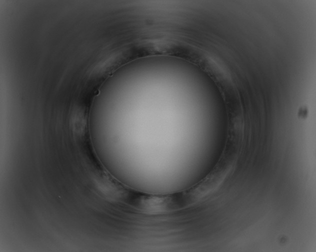 X0000101970129200807181114