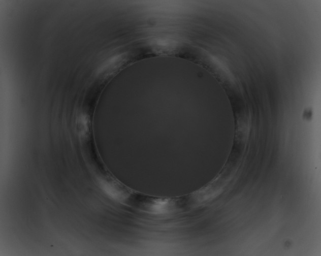 X0000101970130200807181114