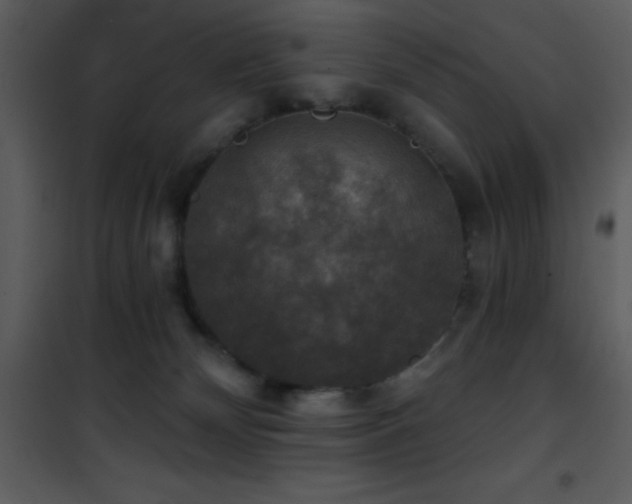 X0000101970132200807181114