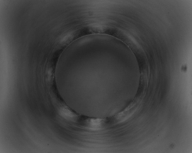 X0000101970134200807181114