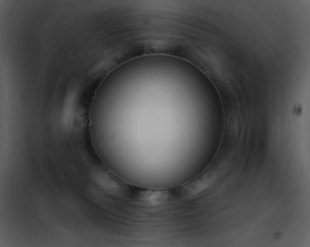 X0000101970135200807181114