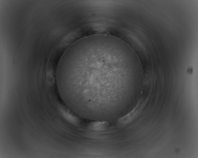 X0000101970136200807181114