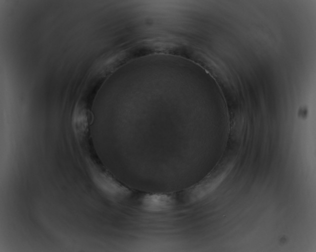 X0000101970137200807181114