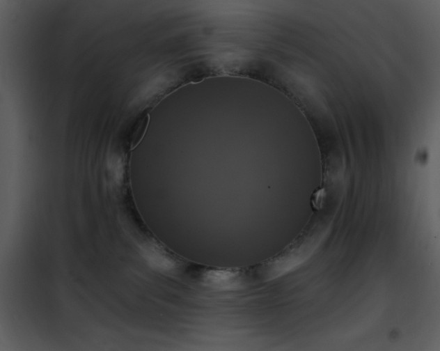 X0000101970139200807181114