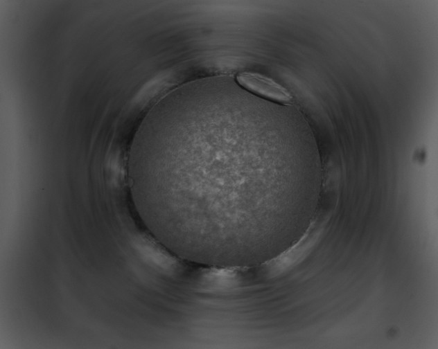 X0000101970140200807181114