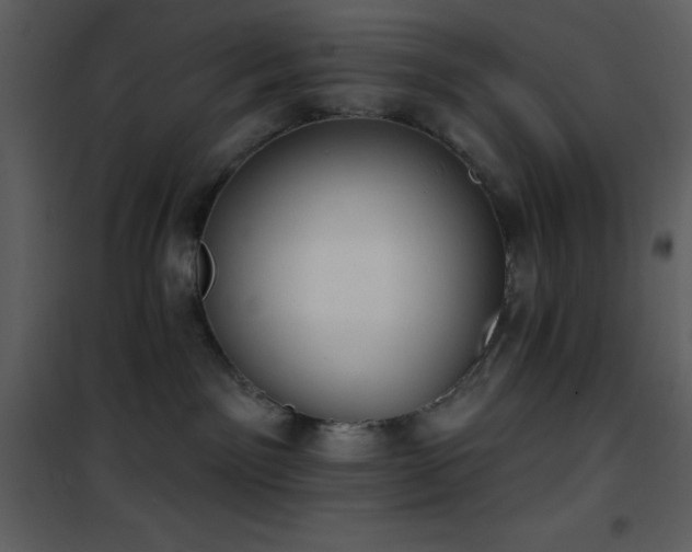 X0000101970141200807181114