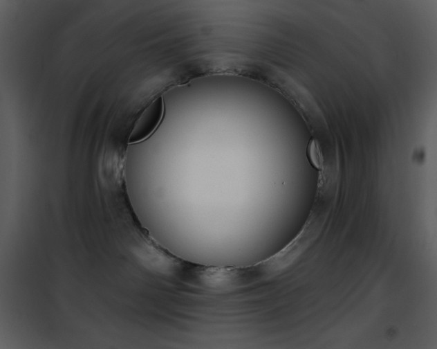 X0000101970142200807181114