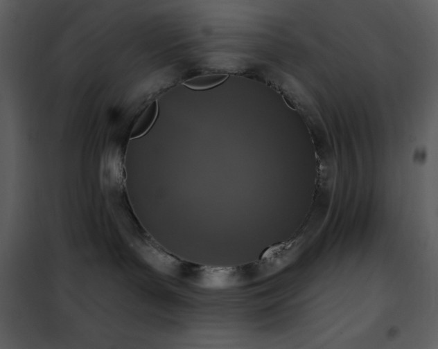 X0000101970143200807181114