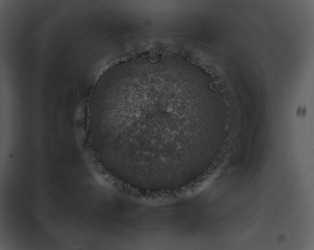 X0000101970144200807181114