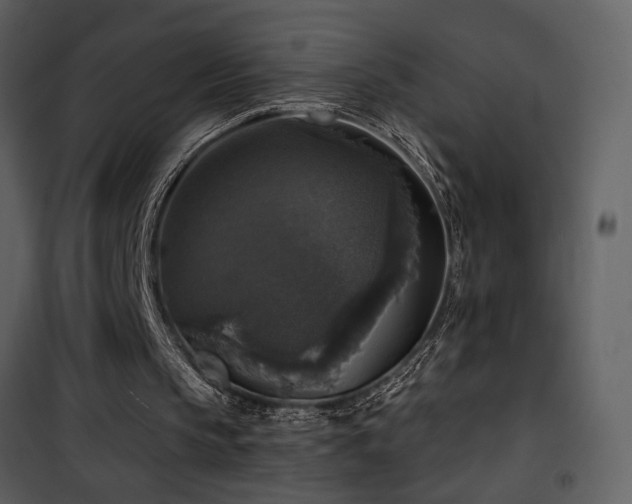 X0000101970145200807181113