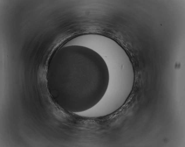 X0000101970146200807181113