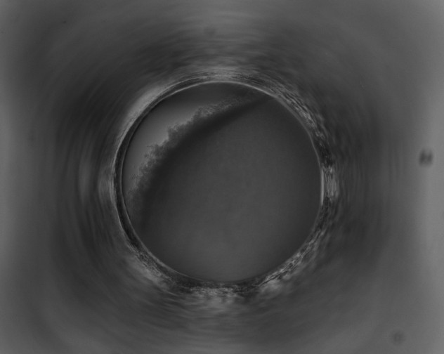 X0000101970147200807181113