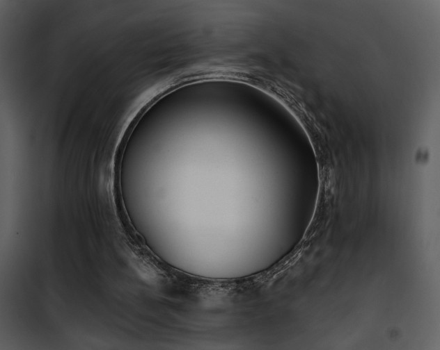X0000101970148200807181113