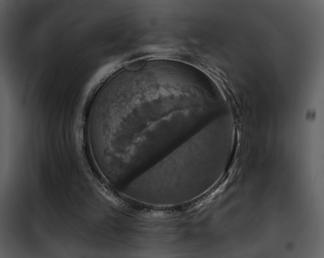 X0000101970149200807181113