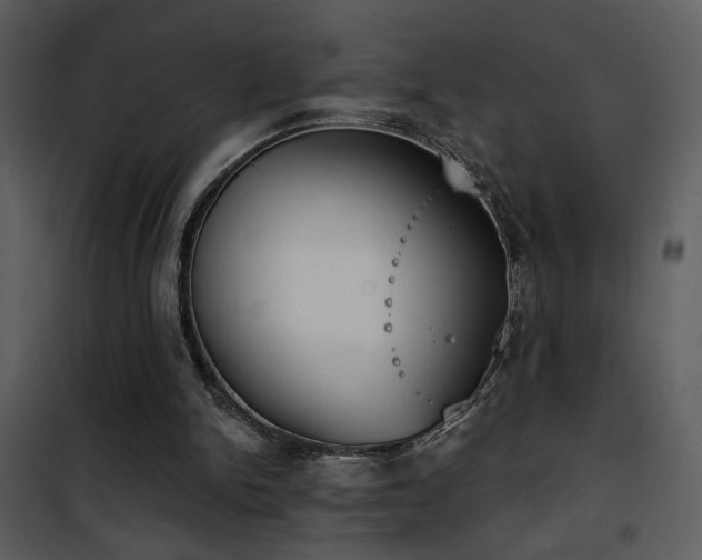 X0000101970150200807181113