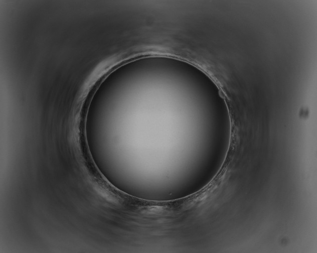X0000101970151200807181113