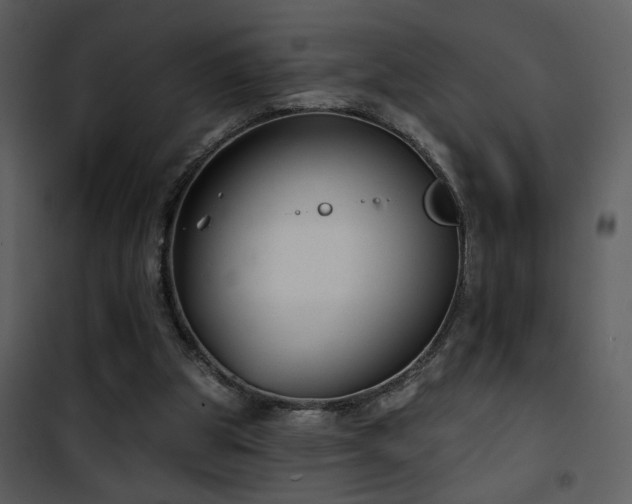 X0000101970153200807181113