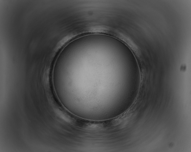 X0000101970155200807181113