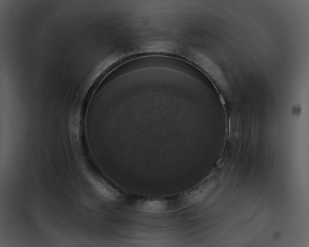 X0000101970156200807181113