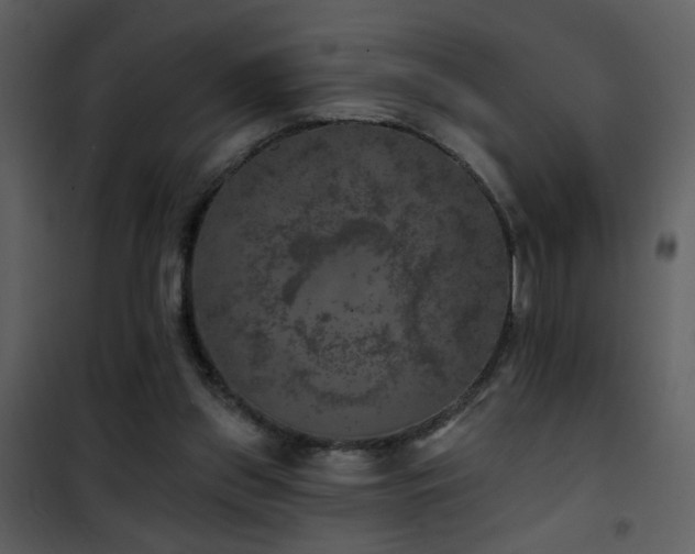 X0000101970157200807181113