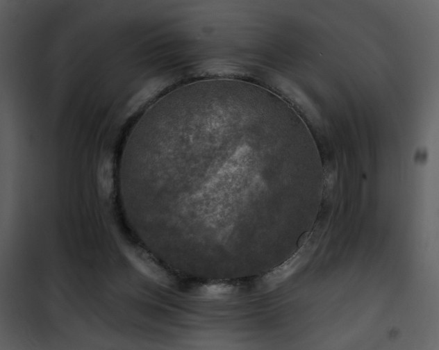 X0000101970158200807181113