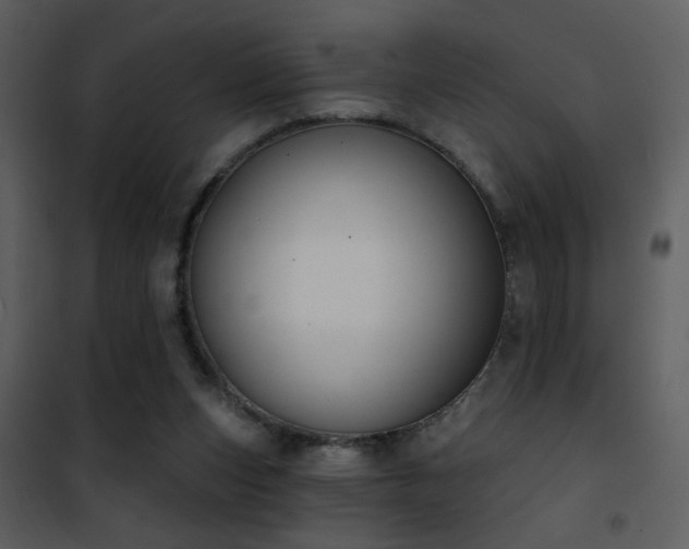 X0000101970159200807181113