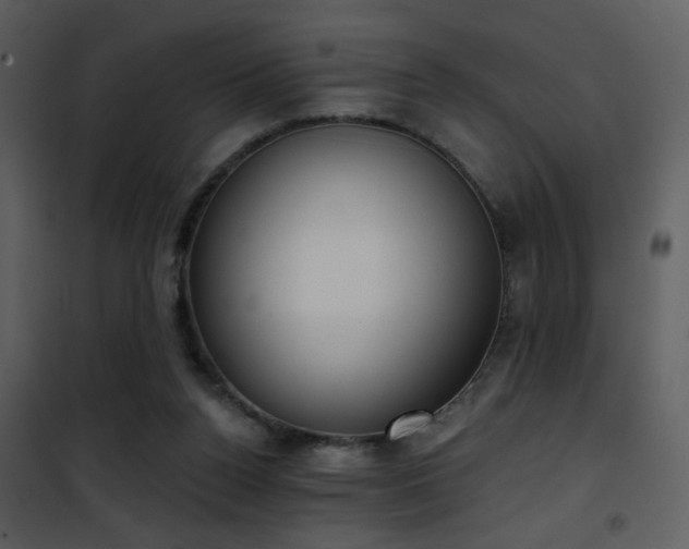 X0000101970160200807181113