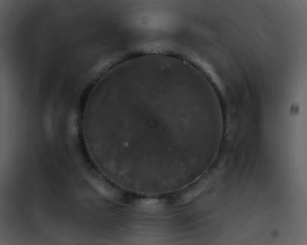 X0000101970161200807181113