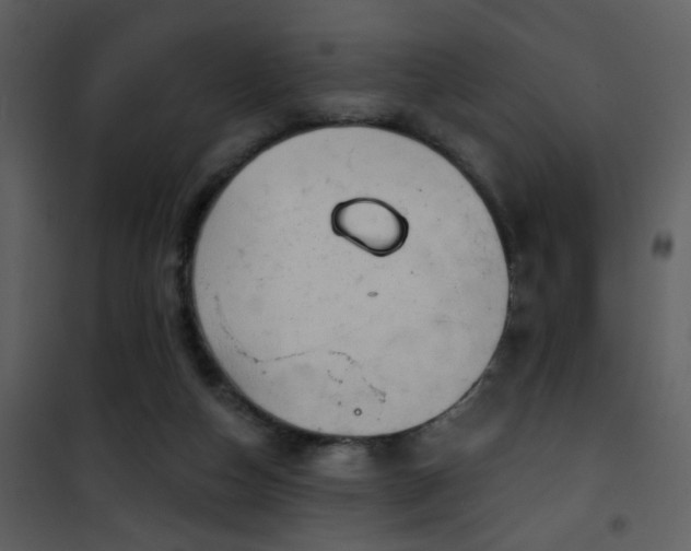 X0000101970162200807181113