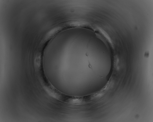 X0000101970163200807181113