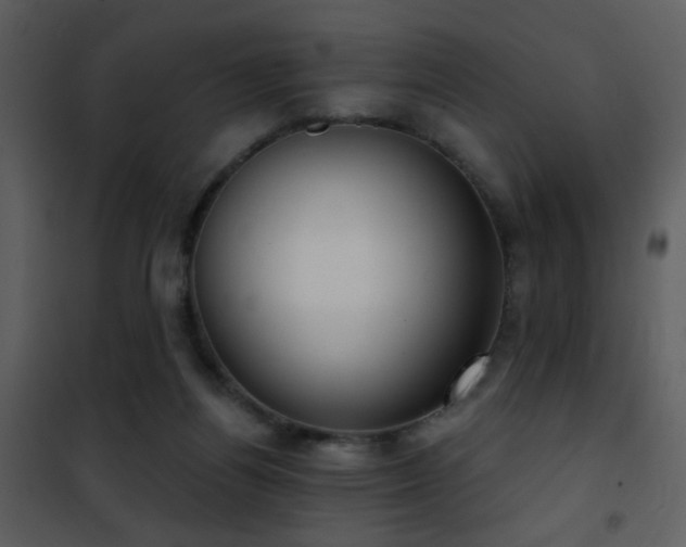 X0000101970164200807181113