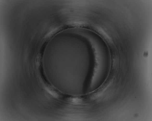 X0000101970165200807181113