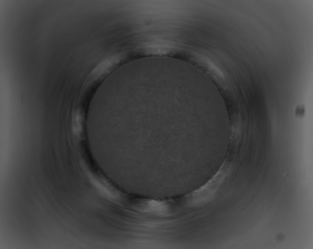 X0000101970166200807181113