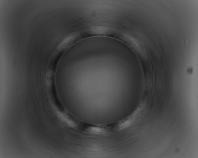 X0000101970167200807181113