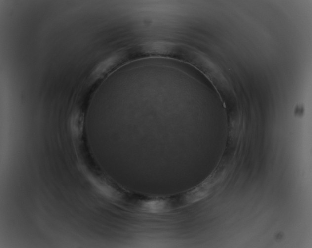 X0000101970168200807181113