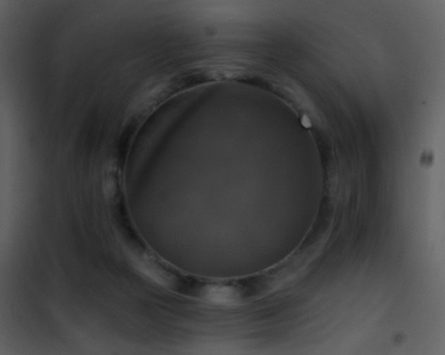X0000101970169200807181114