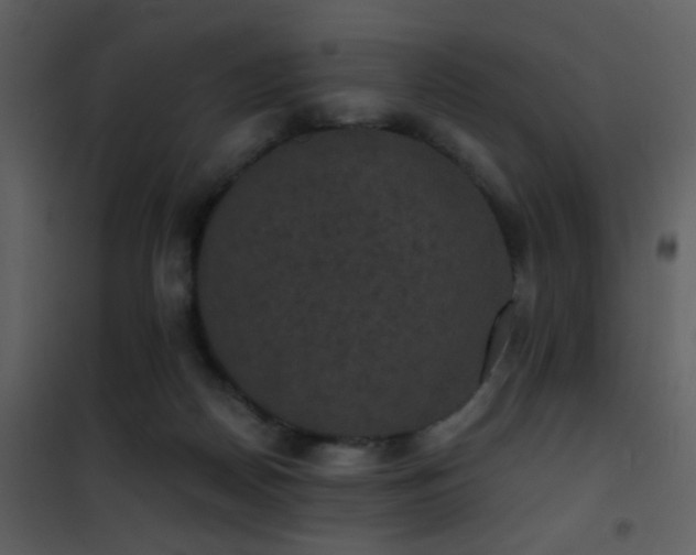 X0000101970170200807181114