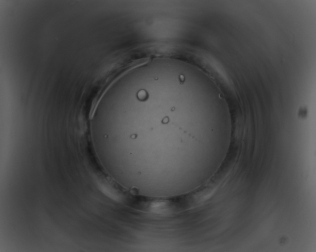 X0000101970173200807181114