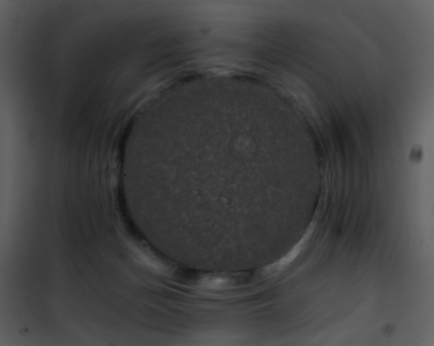X0000101970174200807181114