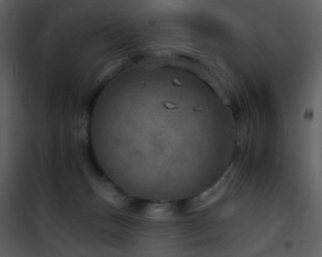 X0000101970175200807181114
