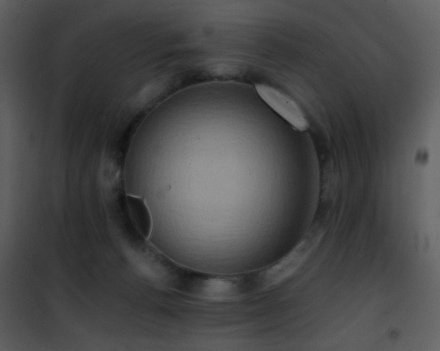 X0000101970176200807181114