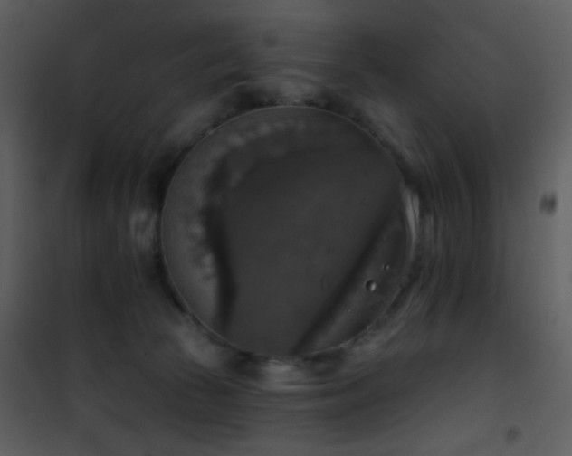 X0000101970177200807181114