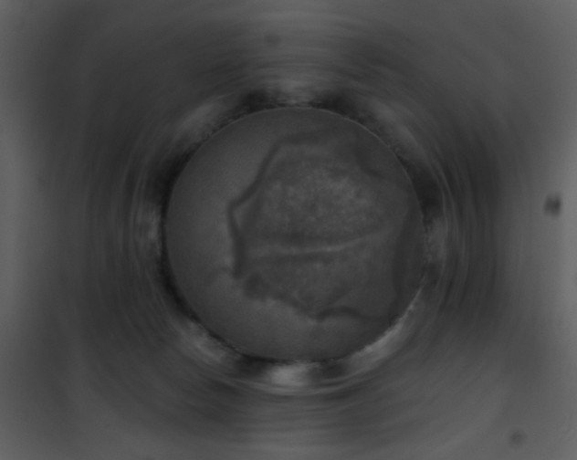 X0000101970178200807181114